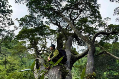 Phong Nha-Kẻ Bàng nỗ lực đạt tiêu chuẩn Danh lục Xanh toàn cầu